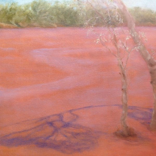 River Flowing oil on canvas by Sue Helmot Artist who is based in Carnarvon in the remote Gascoyne region of Western Australia