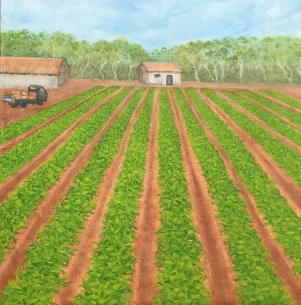 Carnarvon Farm oil on canvas Sue Helmot Artist Gascoyne region Western Australia