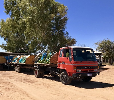 Sweeter Banana's truck collecting banana's from plantations around the river in Carnarvon by Sue Helmot Artist