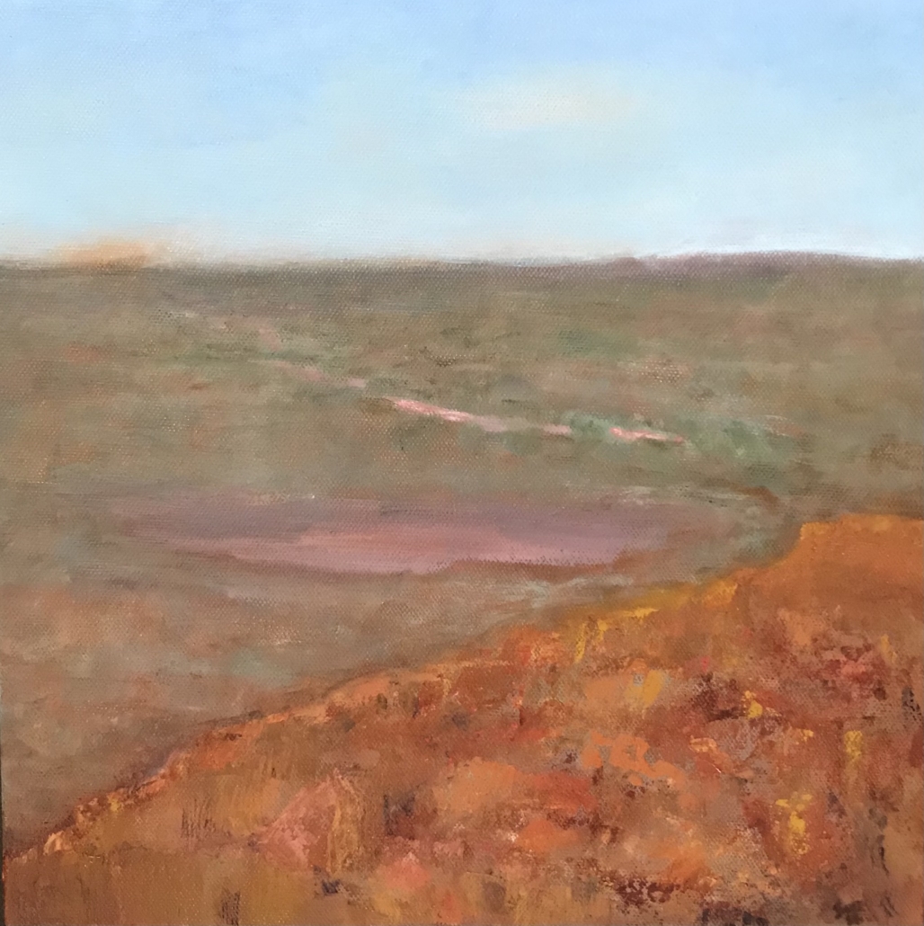 View From the Top Kennedy Range geology oil on canvas Sue Helmot Australian landscape painter