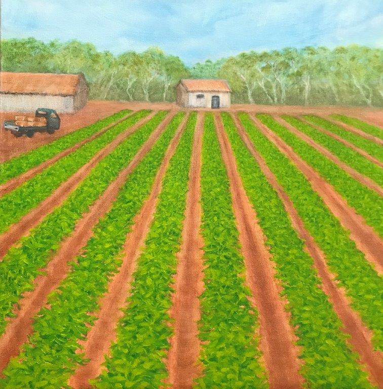 Carnarvon Farm oil on canvas Sue Helmot Australian Artist 