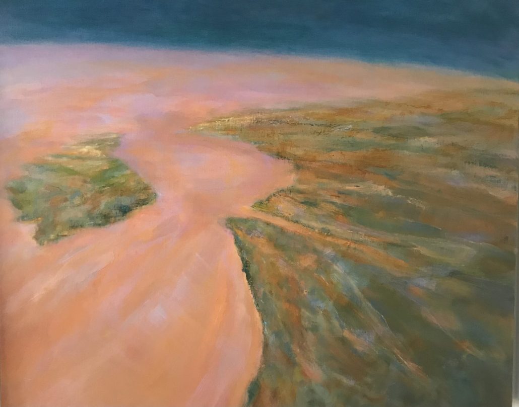 The Plume arial view of the Gascoyne River oil on linen Sue Helmot